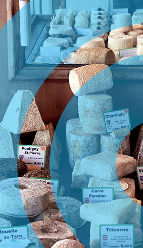 Visuel illustrant une formation dans la vente en crémerie-fromagerie
