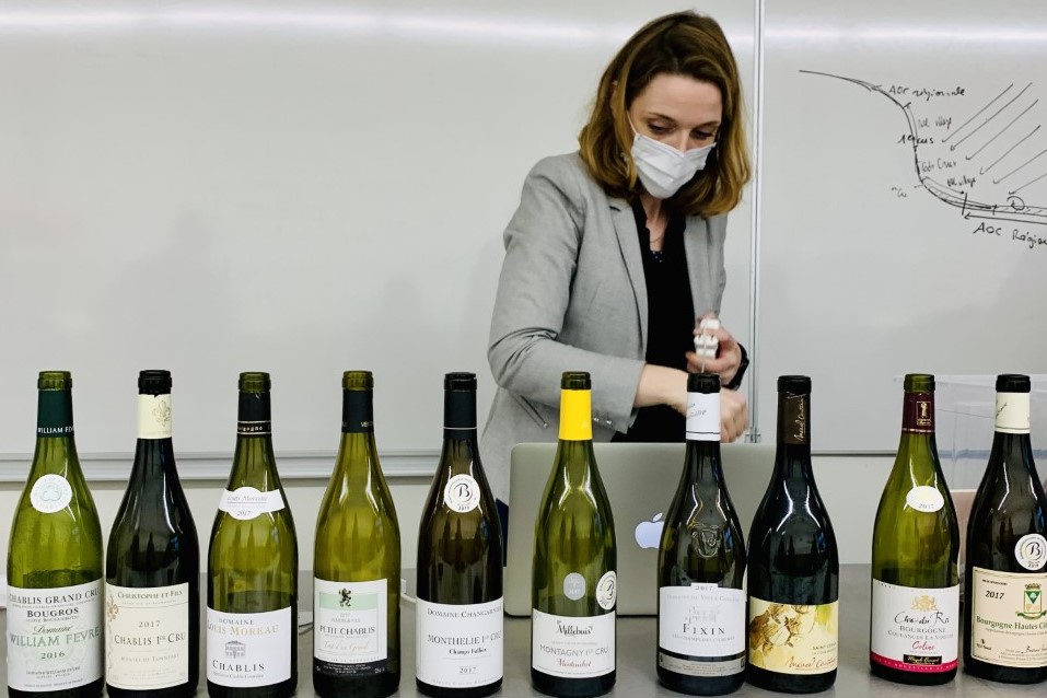 Photo des vins de Bourgogne présentés par Mme Depuis aux étudiants de BTS MHR