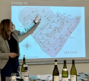 Photo des vins de Bourgogne présentés par Mme Depuis aux étudiants de BTS