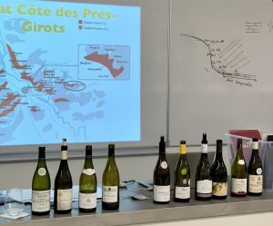 Photo des vins de Bourgogne présentés aux étudiants de BTS MHR