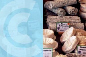 Visuel représentant la formation "CQP (Certificat de qualification professionnelle) Conseil Crémier Fromager" des Écoles CCI Dordogne