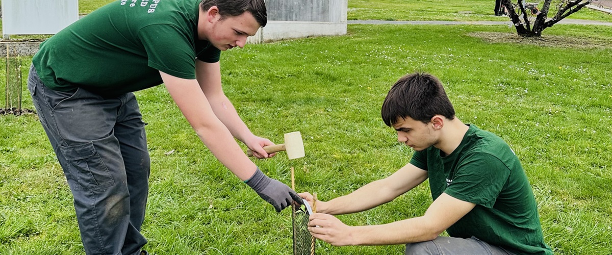 végétalisation campus boulazac
